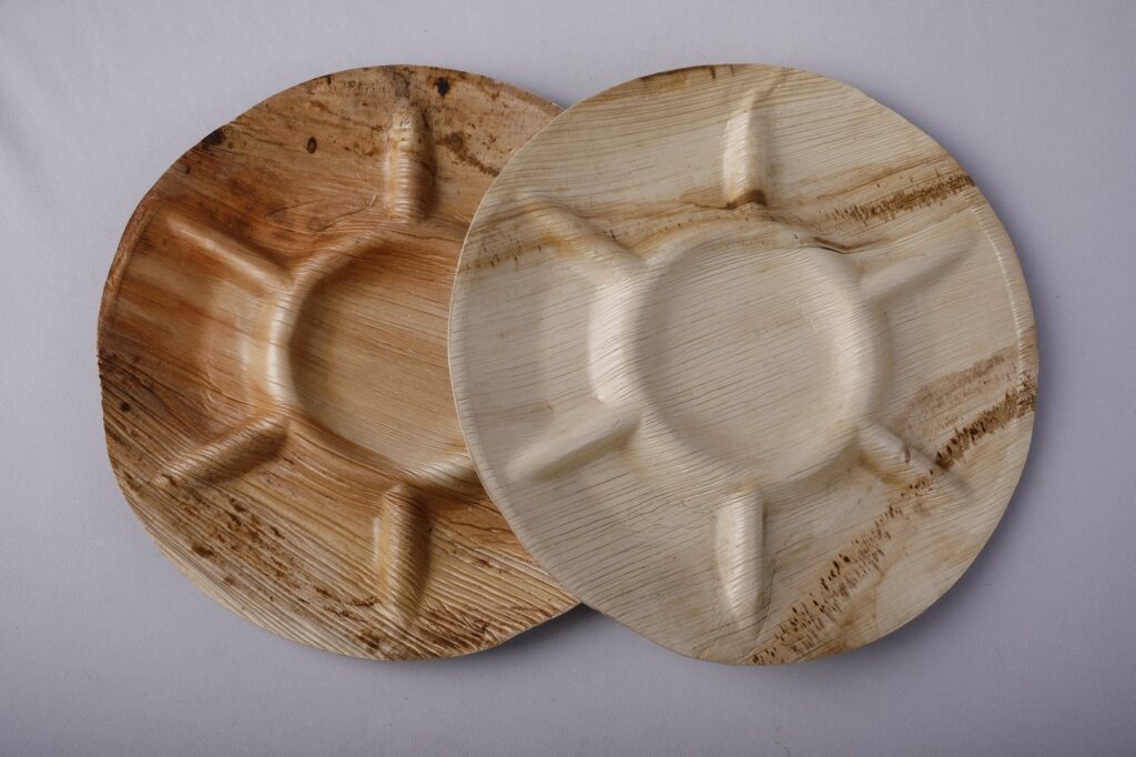 Areca Leaf Plates